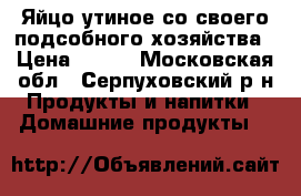 Яйцо утиное со своего подсобного хозяйства › Цена ­ 150 - Московская обл., Серпуховский р-н Продукты и напитки » Домашние продукты   